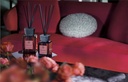 LM Madeleine Rose Diffuser