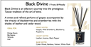 Black Divine Transparent Vase Diffuser (Big)