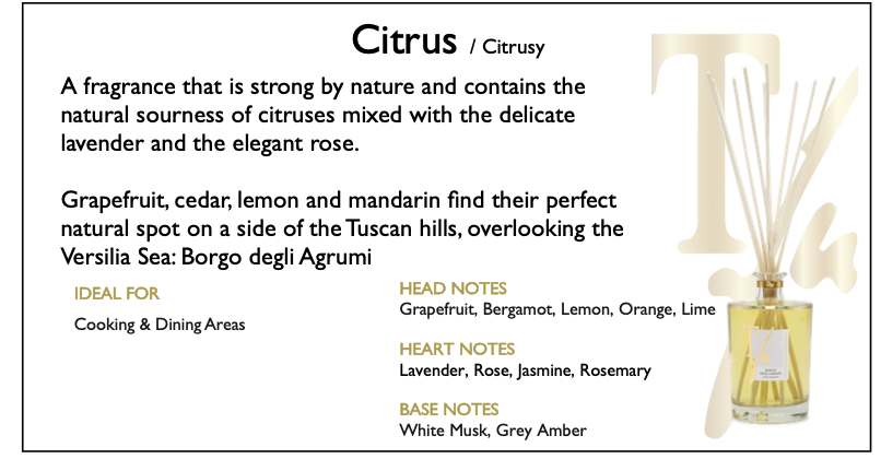 Citrus Diffuser