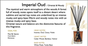 Imperial Oud Refill