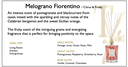 Melograno Fiorentino (Pomegranate) Spray Gun 500 ml