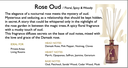 Rose Oud Shiny Black Vase Diffuser (Big)