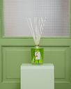 Fig Leaves Transparent Vase Diffuser (Big)