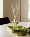 Fig Leaves Transparent Vase Diffuser (Big)