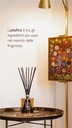 Pure Amber Diffuser