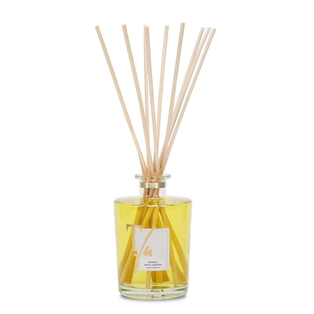 Citrus Transparent Vase Diffuser (Big)