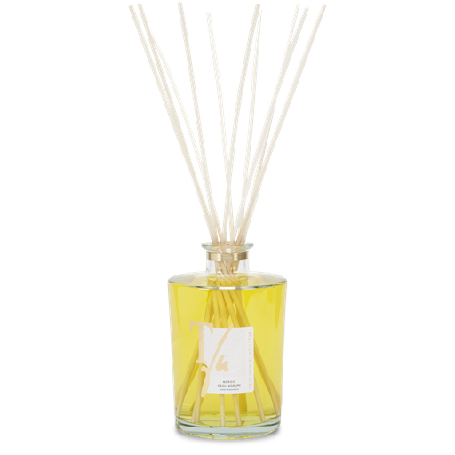 Citrus Transparent Vase Diffuser (Big)
