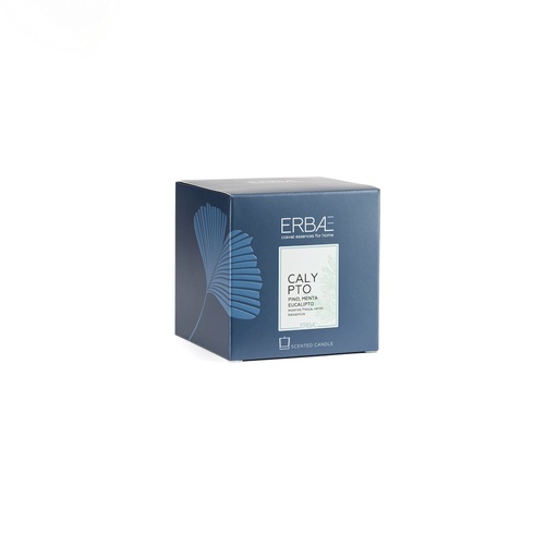 [490087] Calypto Candle 210g Transparent Glass